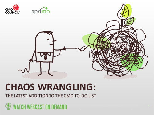 Custom Webcast Graphic for Chaos Wrangling: The Latest Addition to the CMO To-do list
